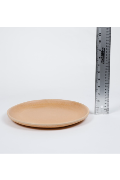 Terracotta Plate L (3)